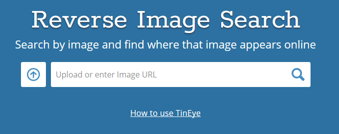 What Reverse Image Search Is & How To Use It image 7