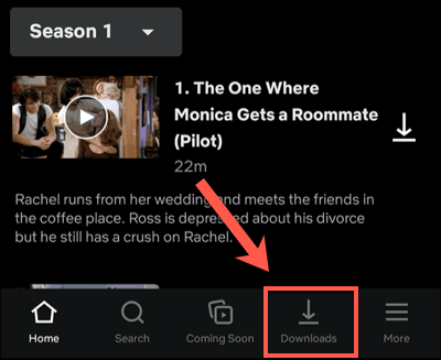 How To Download Shows and Movies From Netflix image 11